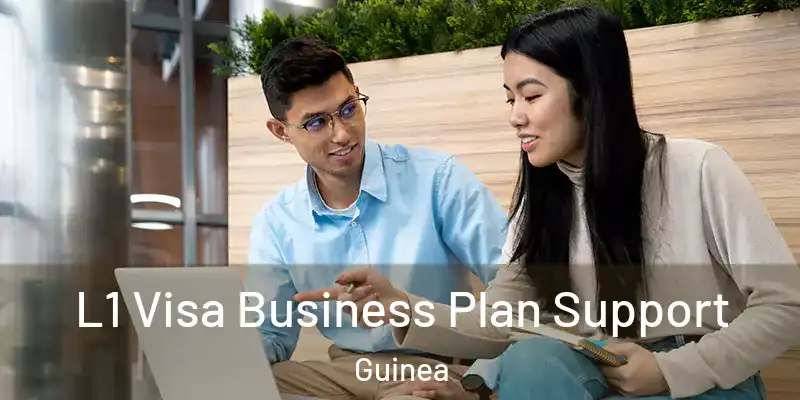  L1 Visa Business Plan Support Guinea